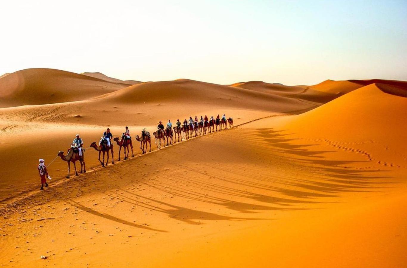 مرزوكة المظهر الخارجي الصورة