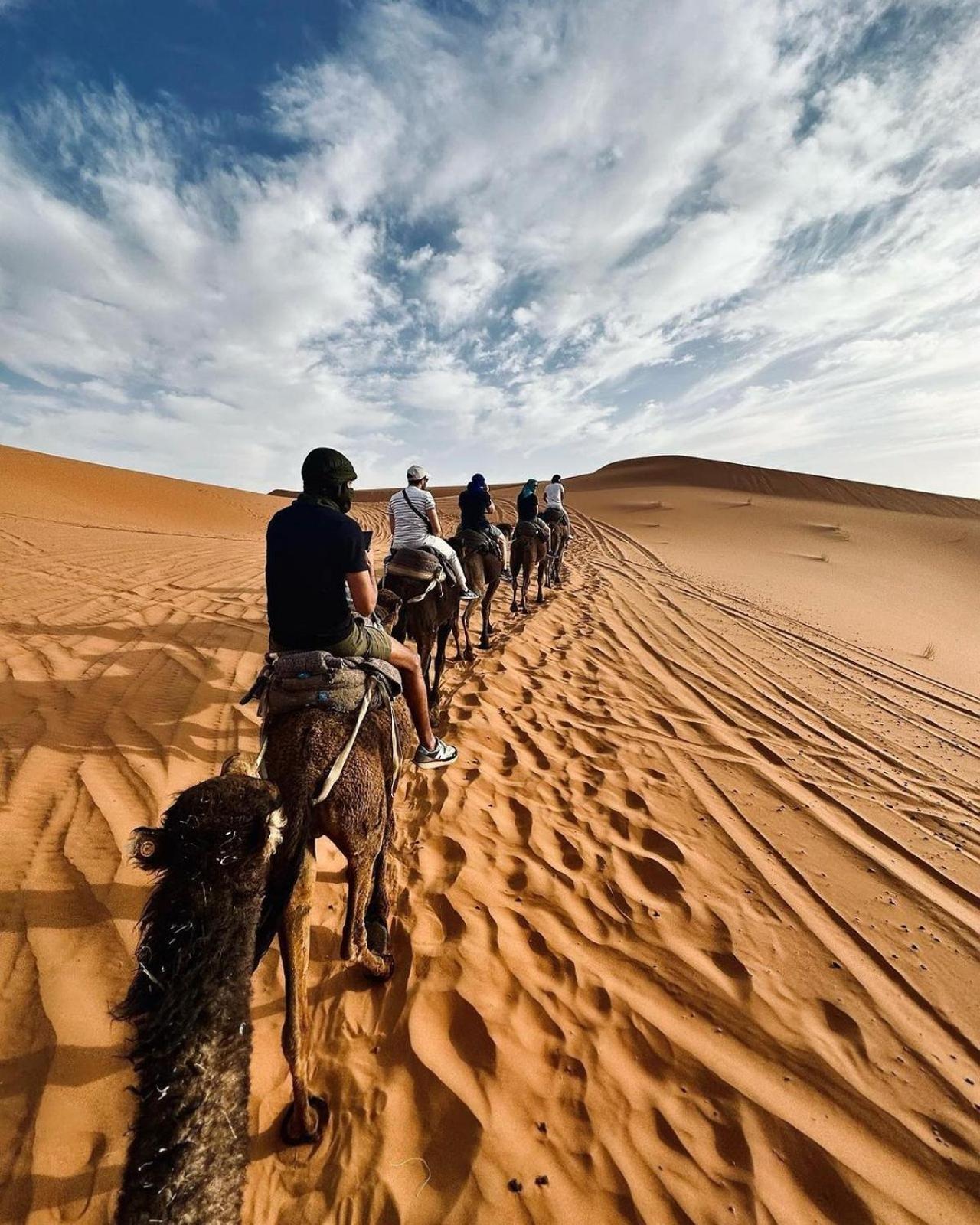 مرزوكة المظهر الخارجي الصورة