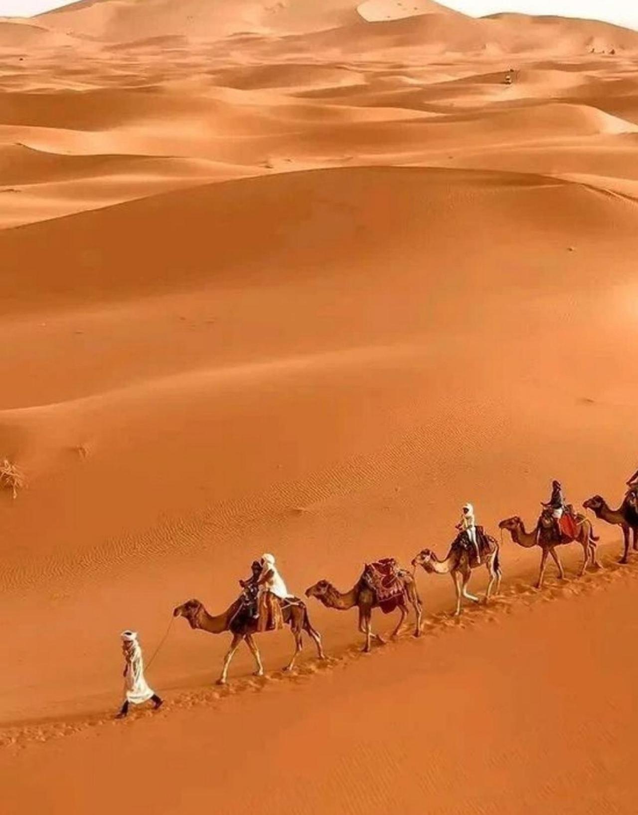 مرزوكة المظهر الخارجي الصورة